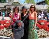 Saratoga Springs Family Dentistry