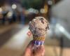 Scoops Ice Cream