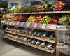 Shoppers Drug Mart
