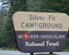 Silver Fir Campground