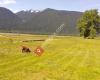 Skagit Valley Provincial Park