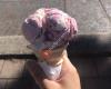 Slices N' Scoops