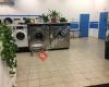 Spotless Laundromat & Dry Cleaning