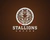 Stallions Coffee