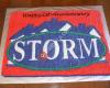 Storm Realty
