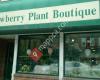 Strawberry Plant Boutique