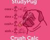 StudyPug