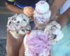 Sunflower Fields Ice Cream Shoppe