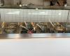 sweetgreen