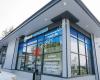 Synergy Optometry