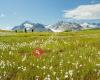 Tatshenshini-Alsek Provincial Park