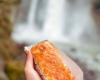 The North Bend Bakery