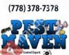 The Pest Maven