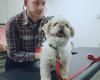 Toronto Animal Health Partners Emergency and Specialty Hospital