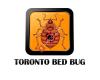 Toronto Bed Bug