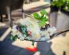 Trattoria Gusto