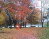 Trout Lake Beach