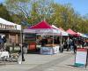 Trout Lake Farmers Market