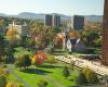 University of Massachusetts Amherst