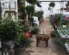 VanderSalm's Flowershop & Garden Center