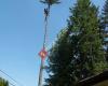 Vertical Tree Care