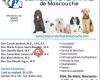 Veterinary Clinic De Mascouche