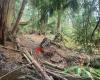 Walley Creek Trail