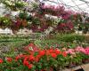 Waukesha Floral & Greenhouse