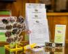 Wildflower Confections & Boutique