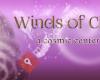 Winds Of Change Specialty Gifts