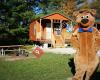 Yogi Bear's Jellystone Park Camp Resort
