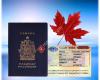 Yonge Sheppard Passport Photos