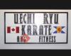 Young's Uechi-Ryu Karate & Fitness