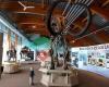 Yukon Beringia Interpretive Centre